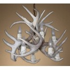 Optional Sun Bleached Antlers