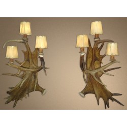 Real Antler Fallow / Moose / Whitetail Deer Sconce SC4